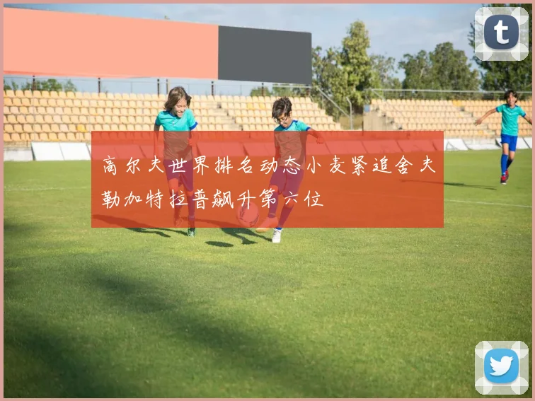 高尔夫世界排名动态小麦紧追舍夫勒加特拉普飙升第六位